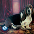 20110105084038-bernie_basset_and_bnp