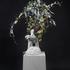 20110105102944-mullen_judith_07