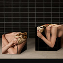 20110105122130-boxednudes