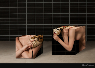 Boxed Nudes,Ricardo Barros