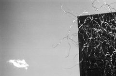 20110105123107-2111966-r3-033-15
