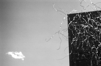 20110105123107-2111966-r3-033-15