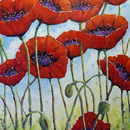 20110105131549-skyward_poppies