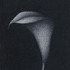 20110719023335-03_night_flower_2000