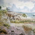 20110303142625-newest_coastal_house_painting_2-28-2011
