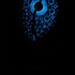 20110105190558-img_7857