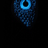 20110105191227-img_7854