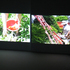 20110105201017-tomatoesandsidingand