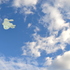 20110106085103-art_10_2830