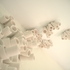 20110106085729-dscn1938