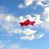20110106085932-art_10_2944