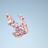 20110106090401-art_10_3118