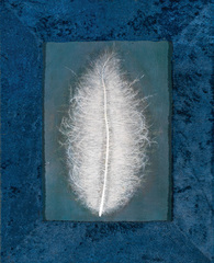 White Feather,Julia Condon