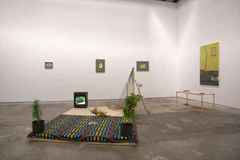 20110109095119-lemons_install_shot3