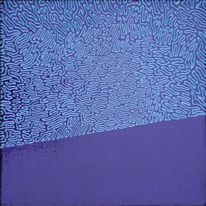 20110109105445-flrbluonnavy12x12