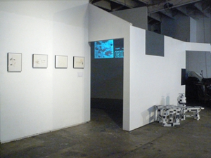 Decoy9