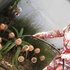 20110109122103-terri_lloyd_pinkbuddhainthegarden3