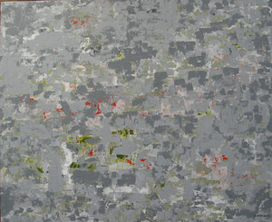 20110205132509-op