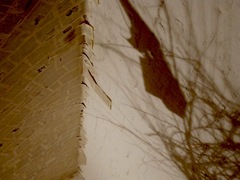 20110110114331-a_trail_of_tales_by_emma_winter