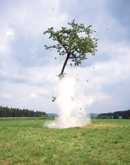 Raketenbaum (detail),Michael Sailstorfer