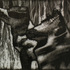 20110111093805-drake_paradestudy22x30