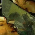 20110111121604-buffalomierda_001__1_