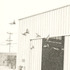 20110111125353-jc-untitled_bats