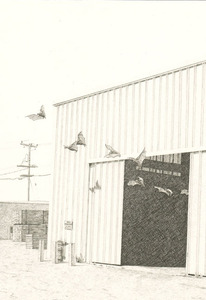 20110111125353-jc-untitled_bats
