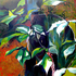 20110111151012-hurst_mary_elegant_planet
