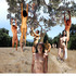 20110111154441-roots_in_heaven-glynn_txt