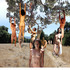 20110111155122-roots_in_heaven-glynn_txt_med