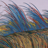 20110112082201-bill_santelli_8_copy