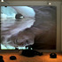 20110112093759-jackson_echo_pool_chambers_woman