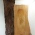 20110112094931-artwork