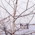 20110112095304-images
