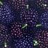 20110112235033-dark_matter_120x120cm_2010_oil_on_canvas