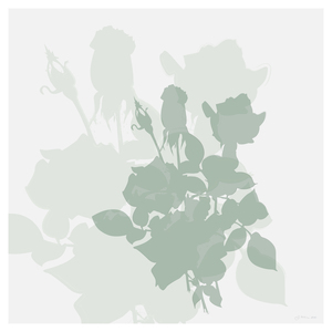 20110113000906-bouquet_60x60_2