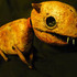 20110114071809-junk_sm