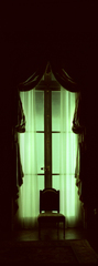 The Color of Absence,Rebecca Loyche