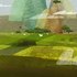 20110114110344-thirdbrush_j1s