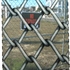 20110305222443-img_0746