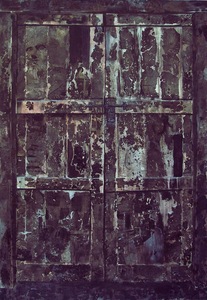20110114221937-door_i