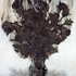 20110114222438-roses