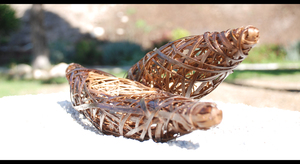 20110116110557-bodner_hale_konon_model2
