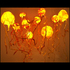 20110116111148-bodner_jellies1