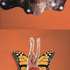 20110116123814-transcendence