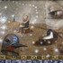 20110116175851-visuddha__the_talking_portal