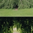 Treetree_dorit_sm