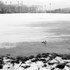 20110117161841-bw_field