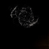 20110117212819-dyingstar